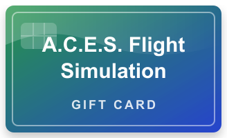 A.C.E.S. Flight Simulation