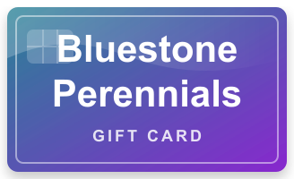 Bluestone Perennials