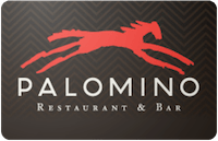 Palomino